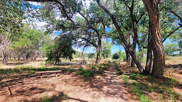 Coors Bosque Trails