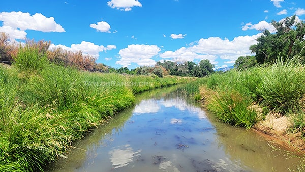 Rio Grande Valley State Park