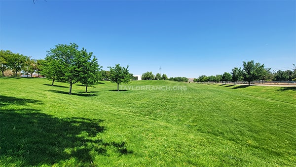 Taylor Ranch Library Park